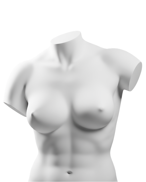 WURLOD Accueil Seins