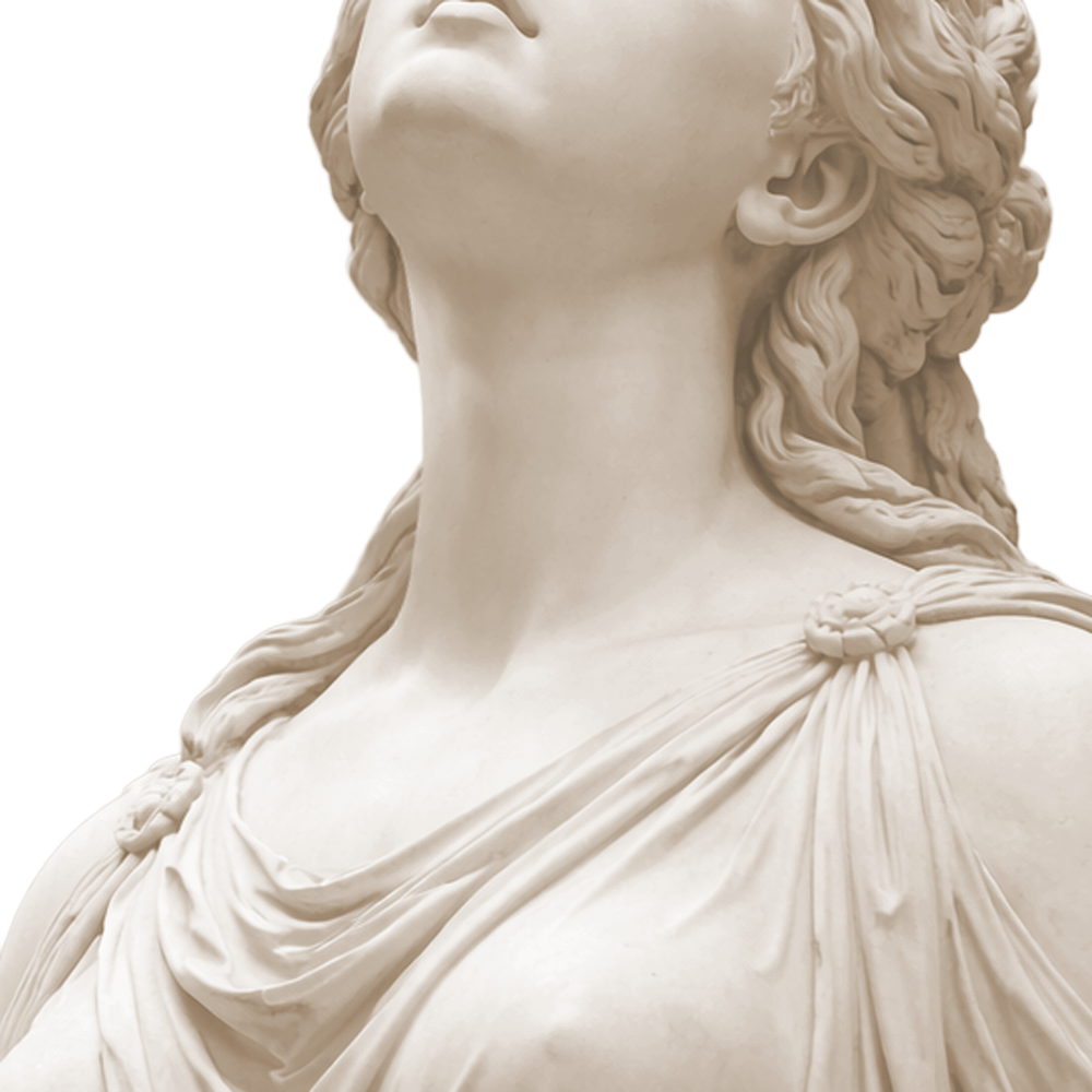 dr wurlod 0018 chirurgie cou